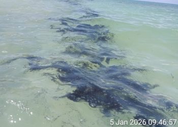 Limbah batubara diduga bersumber dari kapal tongkang yang membawa batubara untuk bahan bakar PLTU TIMOR -1. (Oktaf Saketu)