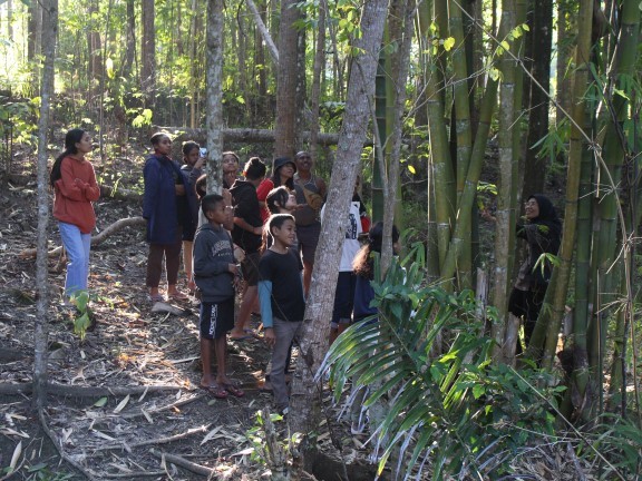 Relawan bersama anggota Komunitas Lakoat Kujawas mendata bambu-bambu endemik di Mollo, Pulau Timor. (Yanti Mesak/KatongNTT)