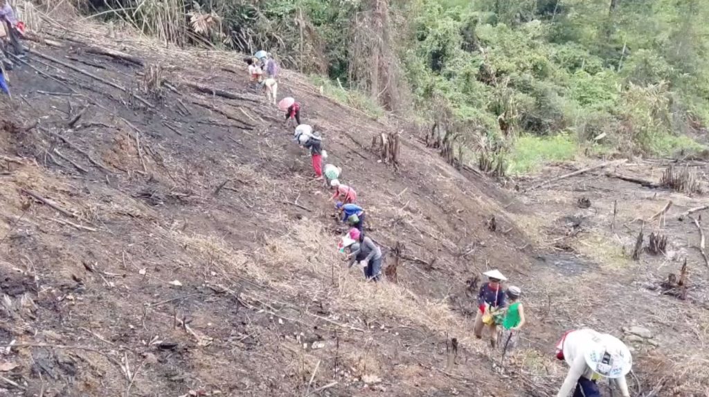 Perempuan kampung Anso sedang membersihkan ladang mereka. (Dok. Magdalene.co)