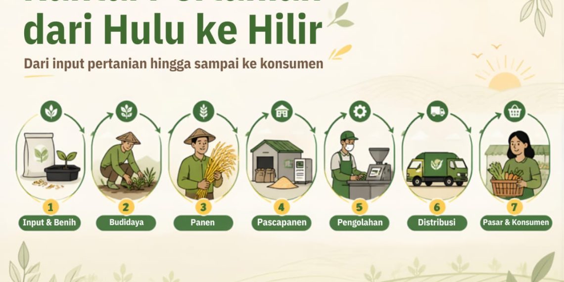 Ilustrasi rantai pertanian (Dok.KatongNTT)
