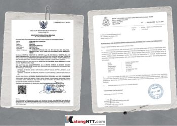 Laporan Kematian PMI NTT Chatrine Septiani Rohi.
